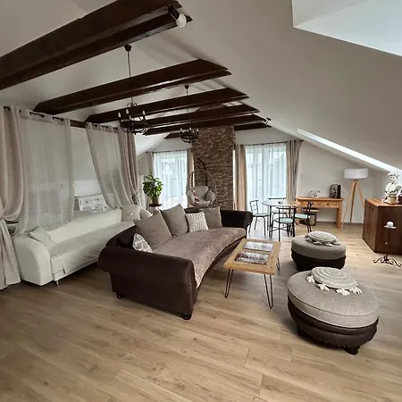 Apartment U Zlateho Krizku Loukov (Mlada Boleslav)