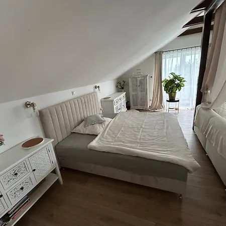 U Zlateho Krizku Apartment