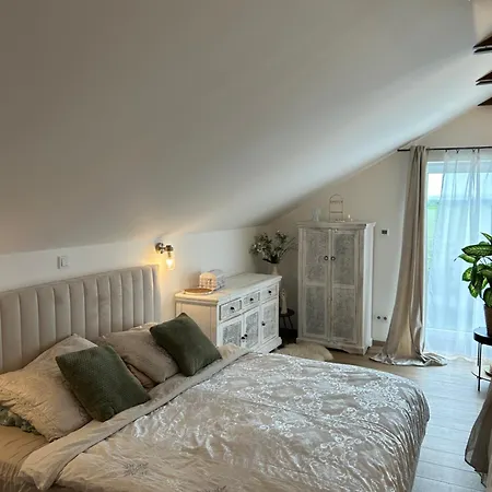 U Zlateho Krizku Apartment