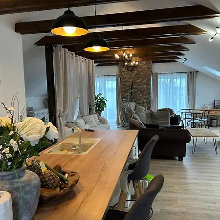 U Zlateho Krizku Apartment Loukov (Mlada Boleslav)